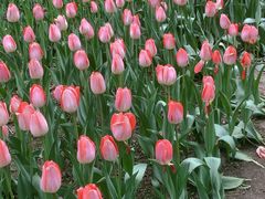 -长春公园(普阳街道)