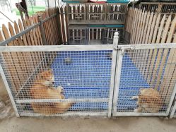 -萌宠亲子动物乐园(槐房万达店)