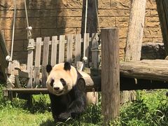 -杭州野生动物世界
