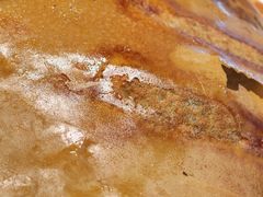 -二姐家三个拿手菜·北塘海鲜·大馅锅贴王(成林道店)