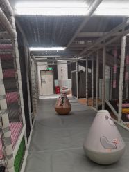 -meland club亲子乐园(重庆万象城店)