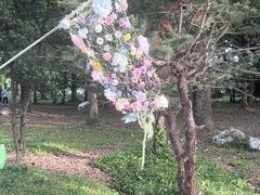 -苏州上方山国家森林公园