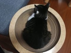 -喜士多(泰安店)