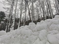 -洛阳白云山景区