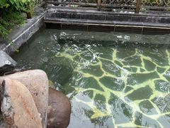 -汉拿山温泉度假酒店