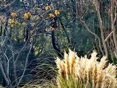 -徐家汇源景区-衡山公园