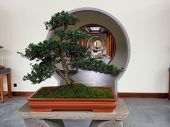 -腾冲和顺柏联酒店