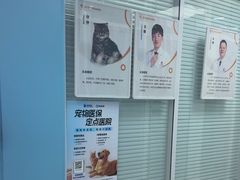 -全心全意连锁动物医院·微创中心·内科急重症·心脏专科(丰管路店)