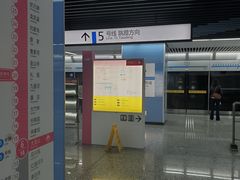 -大龙山(地铁站)