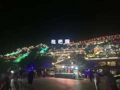 -枇杷园食为鲜火锅(南山店)