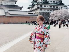 -名古屋城