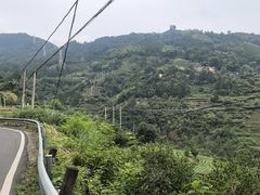 -杨家堂村