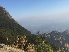 -罗浮山·罗园农庄