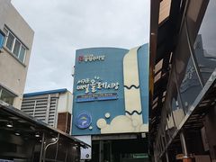 -西归浦每天偶来市场