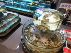 -强记海鲜·大排档(蛇口新街店)