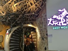 -大灰狼(中心书城店)