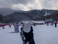 -亚布力新体委滑雪场