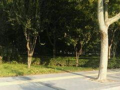 -欧韵公园