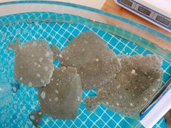 -必点蒸汽海鲜(止锚湾店)