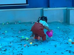-常州海昌海洋探索馆