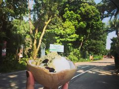 -Co+Nut+Ink(圣淘沙店)