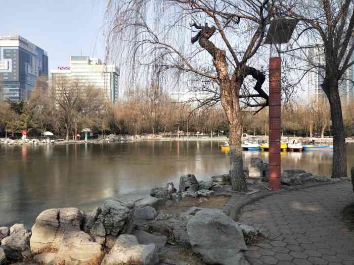 东苑公园-"东苑公园是潍坊非常有历史的名园了,始建于.