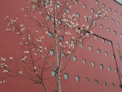 -廊坊文化艺术中心