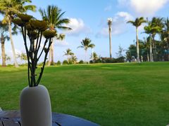 -宴悦海鲜餐厅·游水海鲜·牛排(亚龙湾瑞吉店)