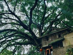 -云水谣景区