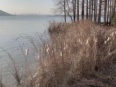 -东湖落雁景区