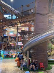 -卡通尼·Safari非洲探索乐园·生日会(金桥国际商业广场店)