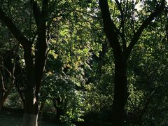 -燕晗山郊野公园