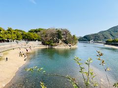 -新建村梅花