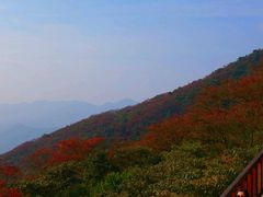-广州市石门国家森林公园