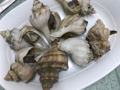 -小海丁