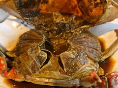 -老号尤兔头(幸福店)