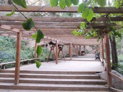 -大岭沟猕猴桃谷风景区