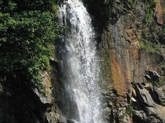 -上海辰山植物园