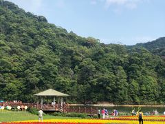 -广州市石门国家森林公园