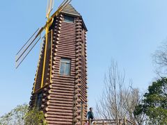 -昆山城市生态森林公园