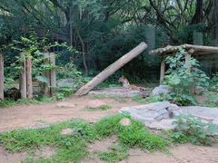-广州长隆野生动物世界