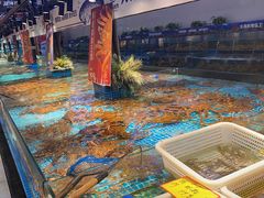 -驻海渔市(置信店)