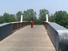 -马家湾湿地公园