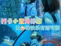 -乐从天佑城海洋馆