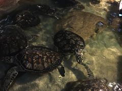 -过锅瘾三汁焖锅(东星时代广场店)