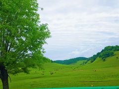 -关山草原