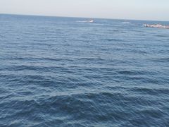 -日照海滨国家森林公园