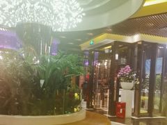 -润园四季椰子鸡火锅(海上世界店)