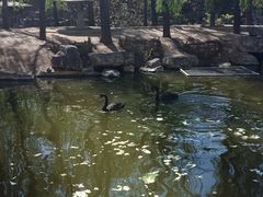 -石家庄市动物园