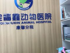 -宠福鑫康馨动物医院·骨科·眼科
